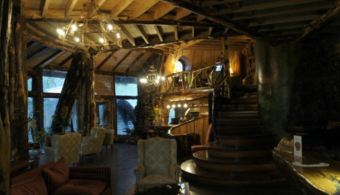 神奇的魔法木制酒店，童话森林里的城堡--阿里百秀