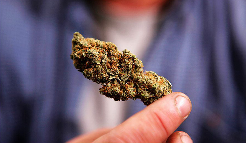 研究表明：大麻可能有效治疗癌症--阿里百秀